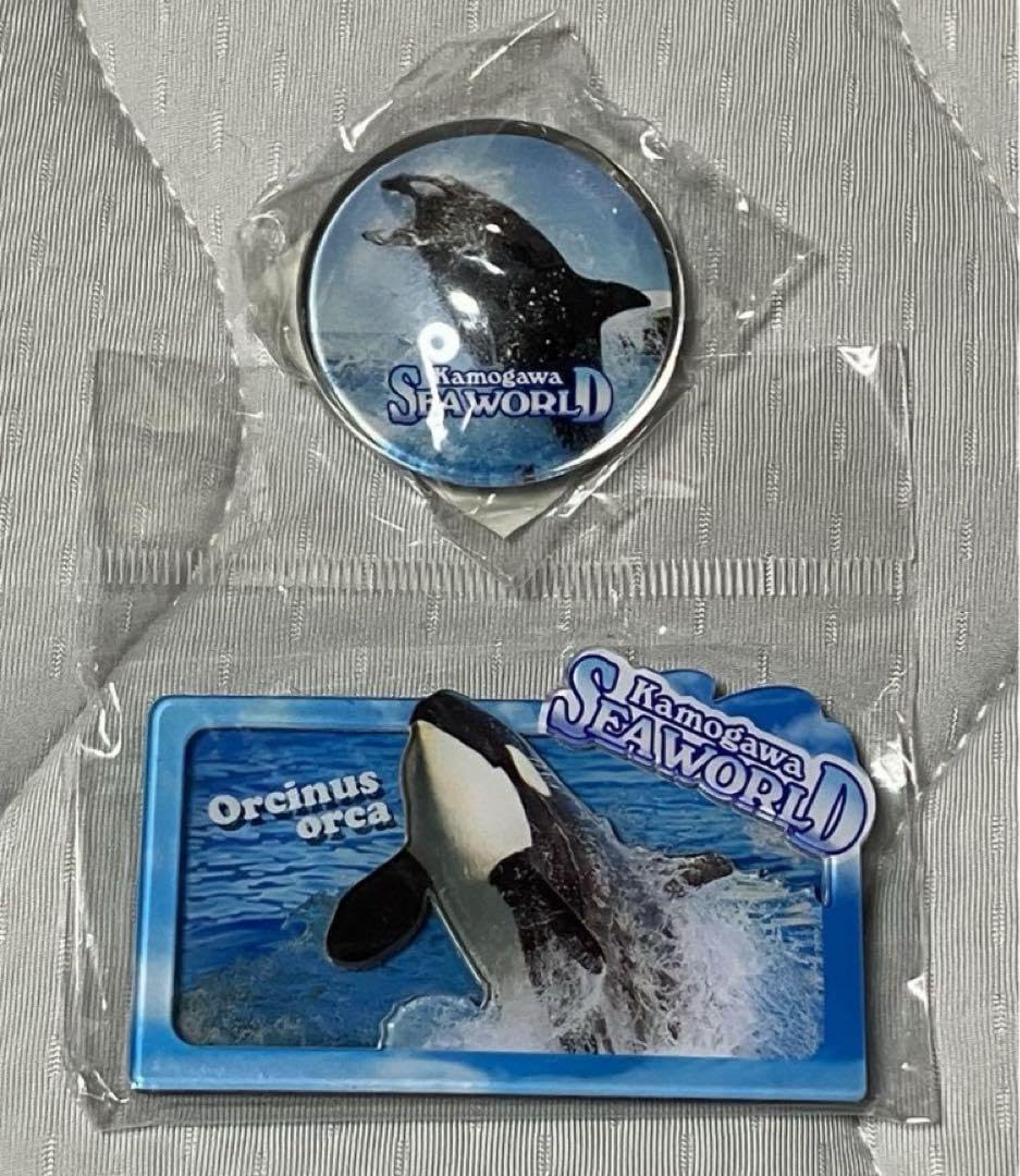 Amazon.co.jp: レア 鴨川シーワールド限定 マグネット シャチ : 文房具